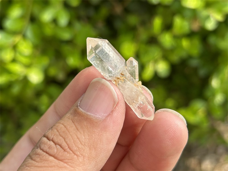 闪灵钻