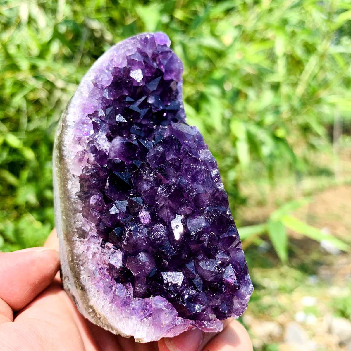 Amethyst Geode