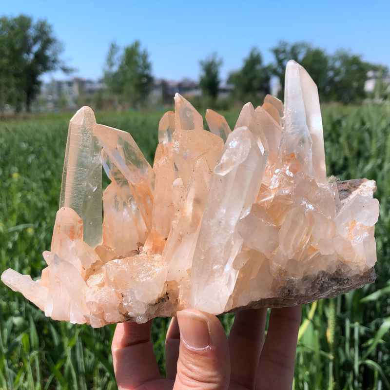 白晶簇