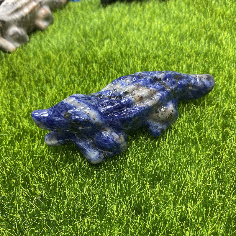 蓝纹石鳄鱼